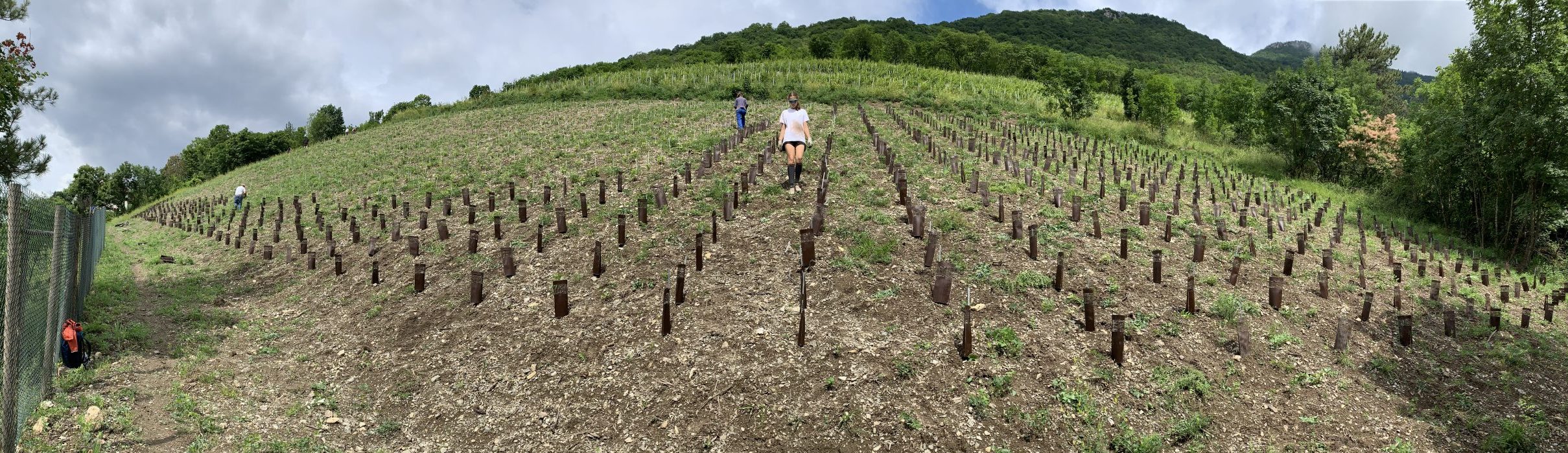 Travaux sur les côteaux juin 2024