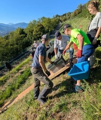 IMG_5246 2